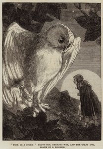 Vertel ons een verhaal, Buffy-Bob, Tricksey-Wee en de reuzenuil door Sir John Charles Robinson